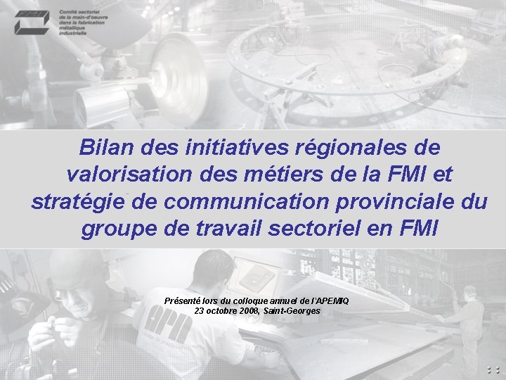 Bilan des initiatives régionales de valorisation des métiers de la FMI et stratégie de