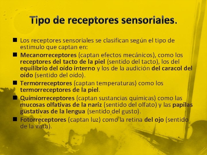 Tipo de receptores sensoriales. n Los receptores sensoriales se clasifican según el tipo de