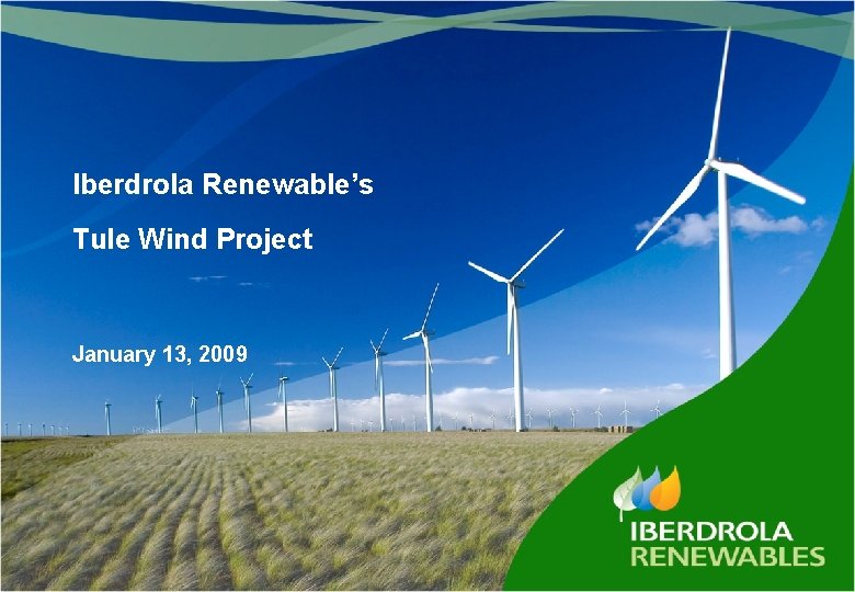 Iberdrola Renewable’s Tule Wind Project January 13, 2009 