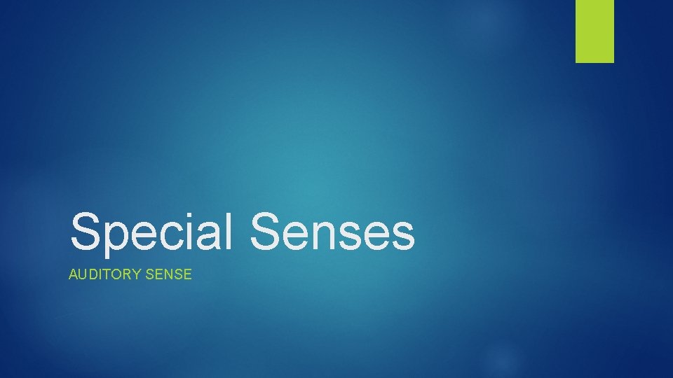 Special Senses AUDITORY SENSE 