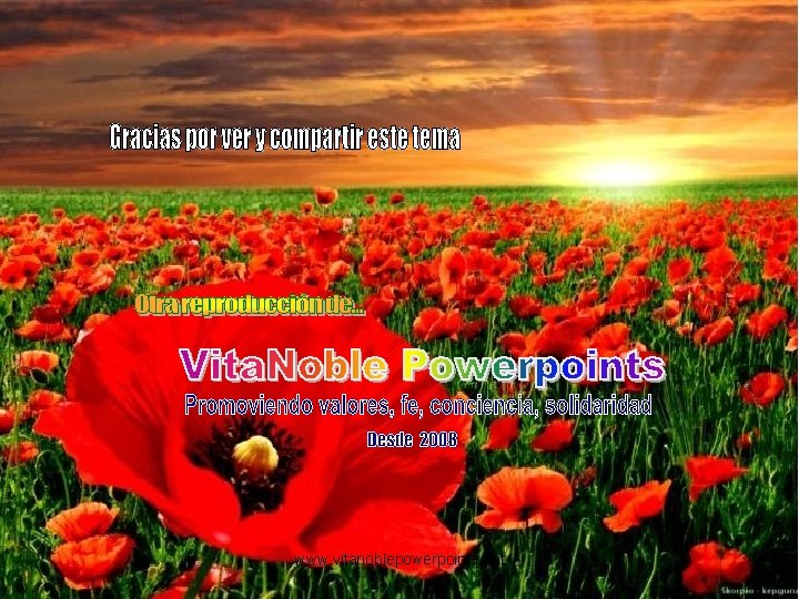 www. vitanoblepowerpoints. net www. vitanoblepowerpoints. net
