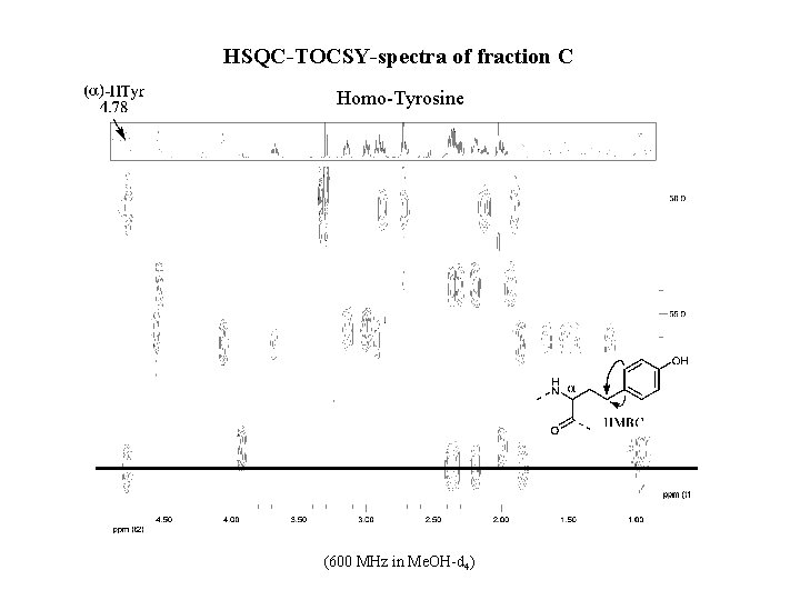 HSQC-TOCSY-spectra of fraction C Homo-Tyrosine (600 MHz in Me. OH-d 4) 