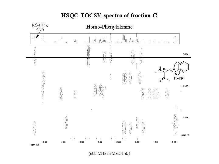 HSQC-TOCSY-spectra of fraction C Homo-Phenylalanine (600 MHz in Me. OH-d 4) 