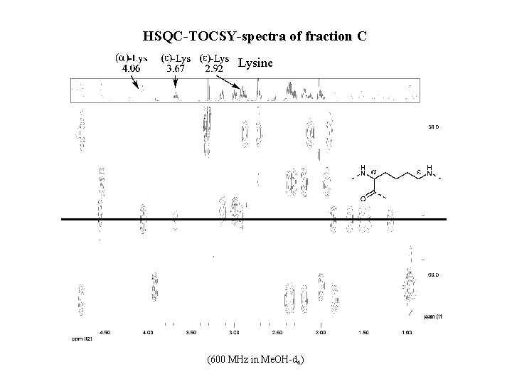 HSQC-TOCSY-spectra of fraction C Lysine (600 MHz in Me. OH-d 4) 
