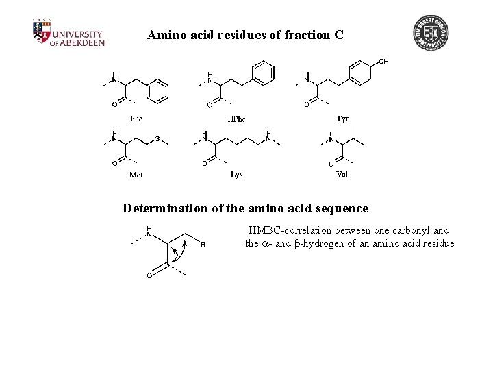 Amino acid residues of fraction C Determination of the amino acid sequence HMBC-correlation between