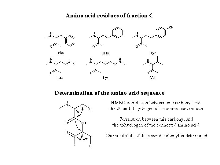Amino acid residues of fraction C Determination of the amino acid sequence HMBC-correlation between