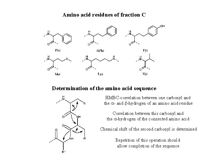 Amino acid residues of fraction C Determination of the amino acid sequence HMBC-correlation between