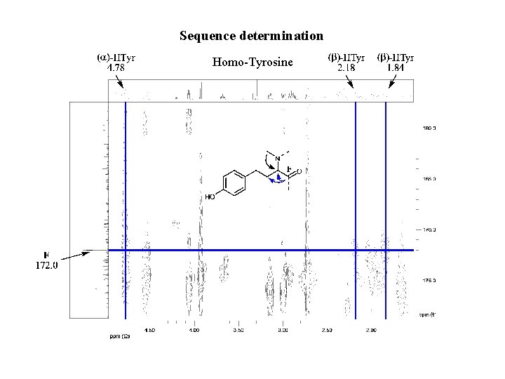 Sequence determination Homo-Tyrosine 