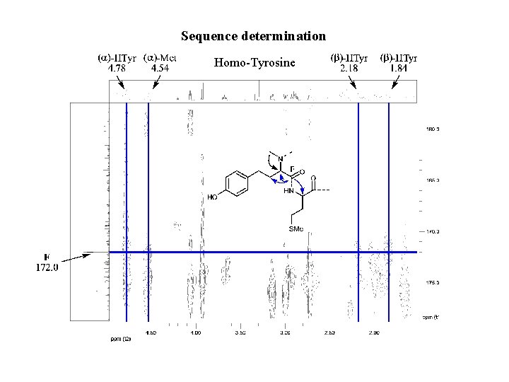 Sequence determination Homo-Tyrosine 