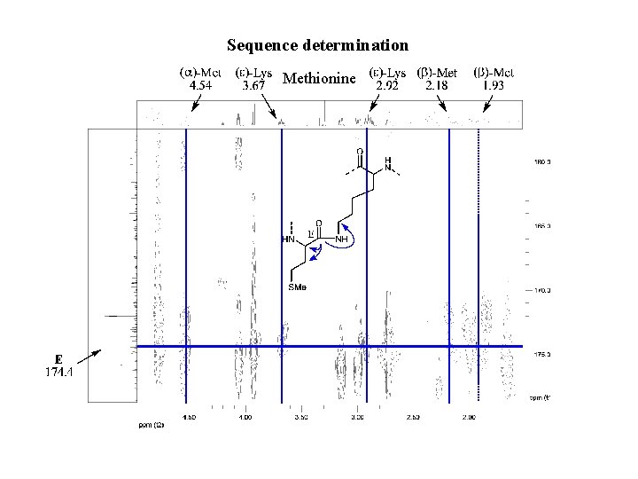 Sequence determination Methionine 