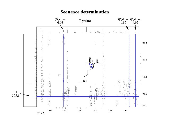 Sequence determination Lysine 