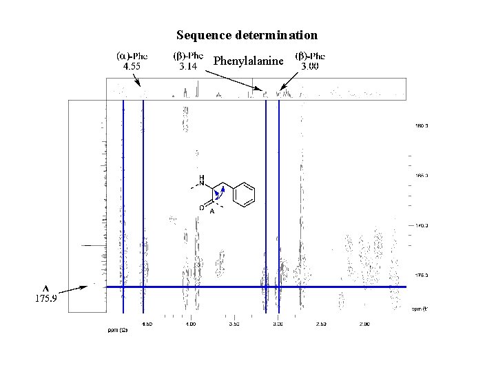 Sequence determination Phenylalanine 