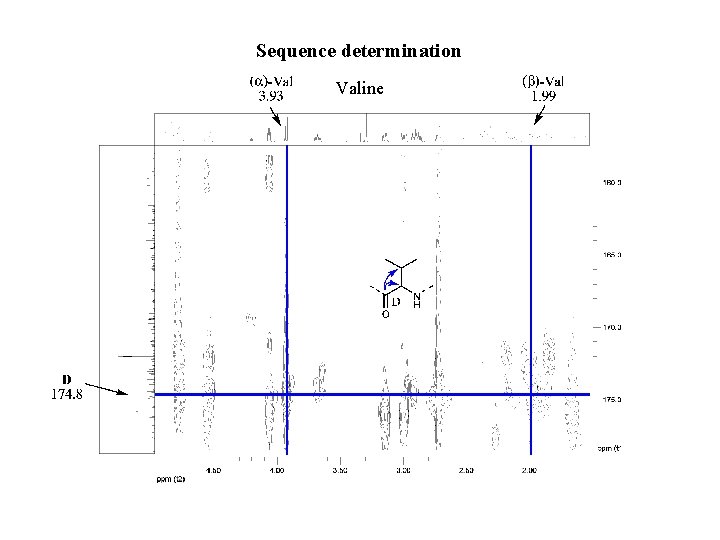 Sequence determination Valine 