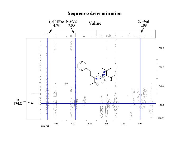 Sequence determination Valine 