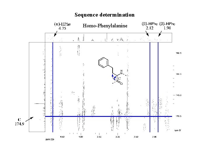 Sequence determination Homo-Phenylalanine 