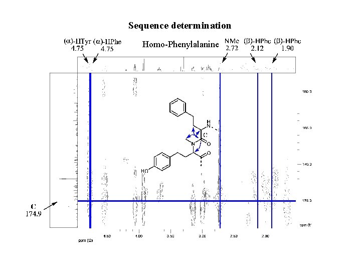 Sequence determination Homo-Phenylalanine 