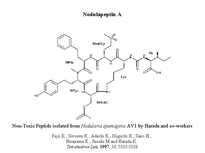 Nodulapeptin A Non-Toxic Peptide isolated from Nodularia spumigena AV 1 by Harada and co-workers