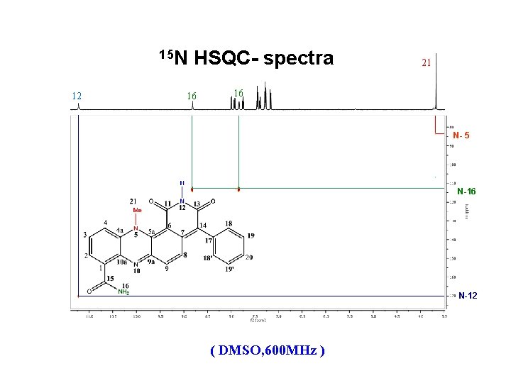 15 N 12 HSQC- spectra 16 21 16 N- 5 N-16 N-12 ( DMSO,