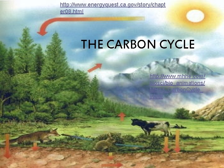 http: //www. energyquest. ca. gov/story/chapt er 08. html THE CARBON CYCLE http: //www. mhhe.