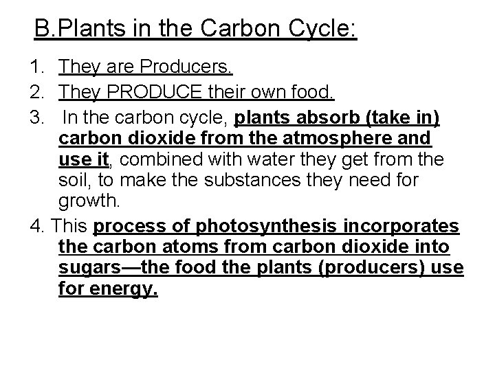 B. Plants in the Carbon Cycle: 1. They are Producers. 2. They PRODUCE their