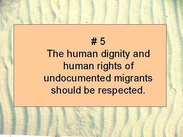 #5 The human dignity and human rights of undocumented migrants should be respected. 