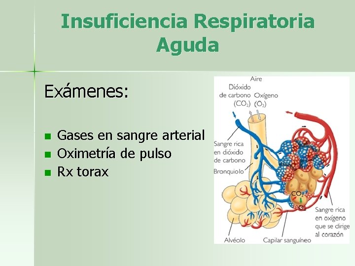 Insuficiencia Respiratoria Aguda Exámenes: n n n Gases en sangre arterial Oximetría de pulso