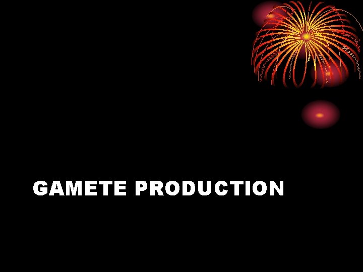 GAMETE PRODUCTION 