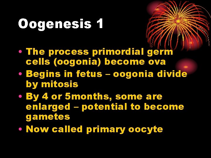 Oogenesis 1 • The process primordial germ cells (oogonia) become ova • Begins in