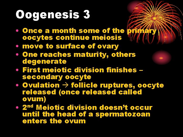 Oogenesis 3 • Once a month some of the primary oocytes continue meiosis •
