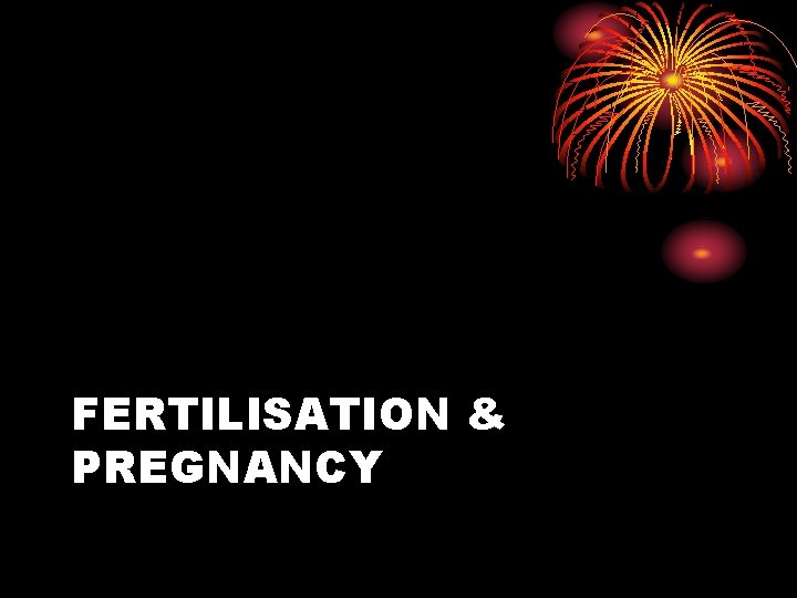 FERTILISATION & PREGNANCY 