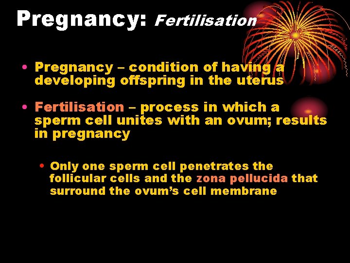 Pregnancy: Fertilisation • Pregnancy – condition of having a developing offspring in the uterus