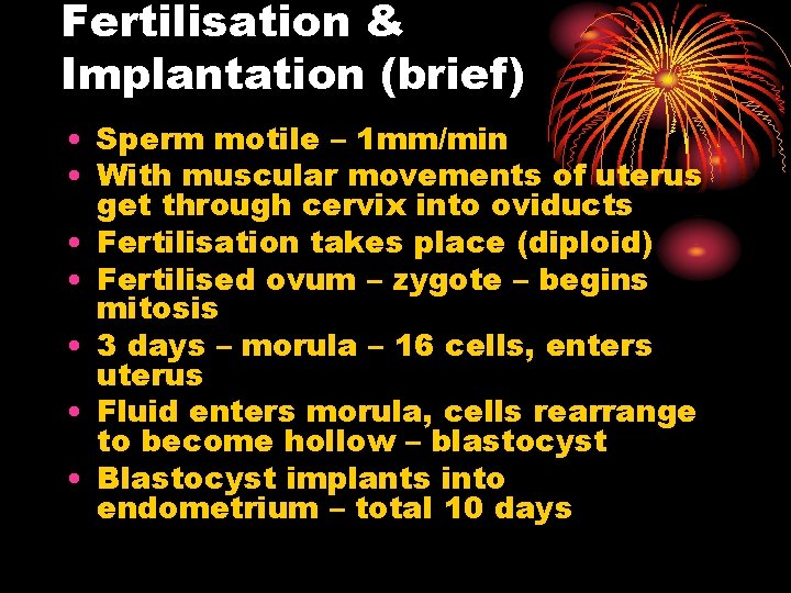 Fertilisation & Implantation (brief) • Sperm motile – 1 mm/min • With muscular movements