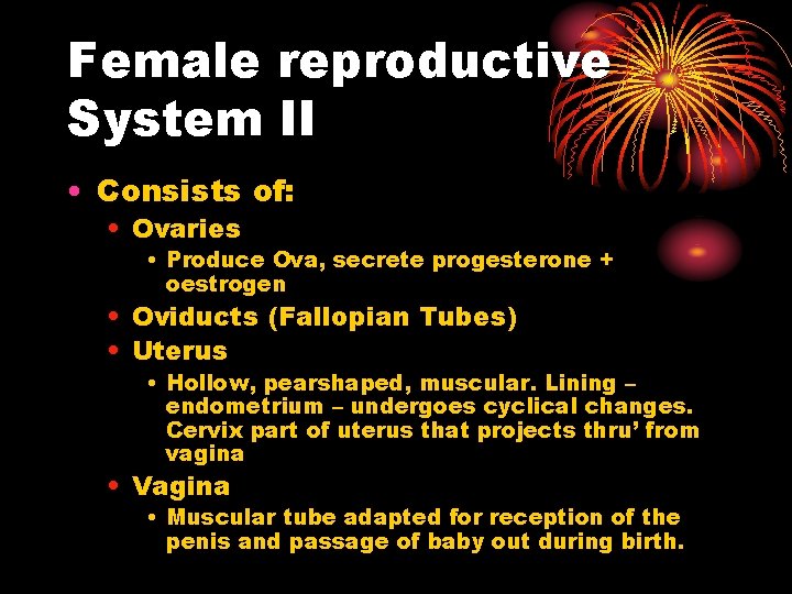 Female reproductive System II • Consists of: • Ovaries • Produce Ova, secrete progesterone
