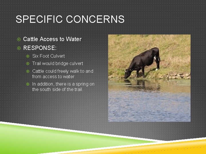 SPECIFIC CONCERNS Cattle Access to Water RESPONSE: Six Foot Culvert Trail would bridge culvert