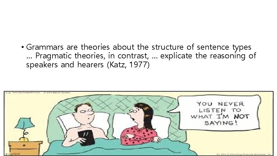  • Grammars are theories about the structure of sentence types … Pragmatic theories,