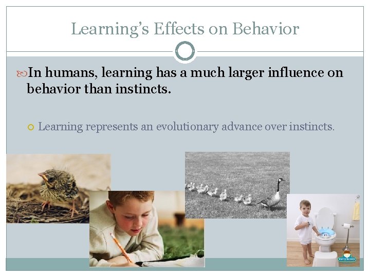 Learning’s Effects on Behavior In humans, learning has a much larger influence on behavior