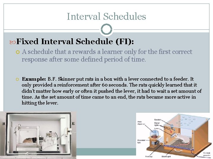 Interval Schedules Fixed Interval Schedule (FI): A schedule that a rewards a learner only