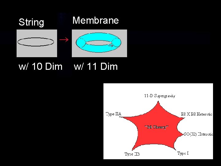Membrane String w/ 10 Dim w/ 11 Dim Membrane String w/ 10 Dim w/ 11 Dim