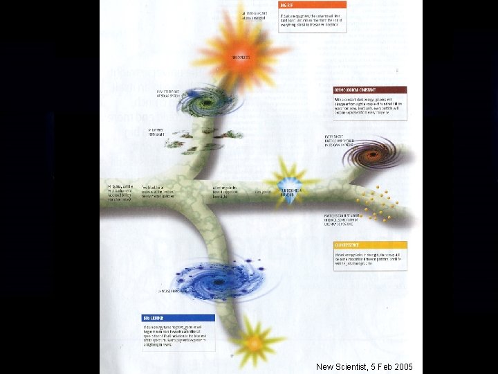 New Scientist, 5 Feb 2005 New Scientist, 5 Feb 2005