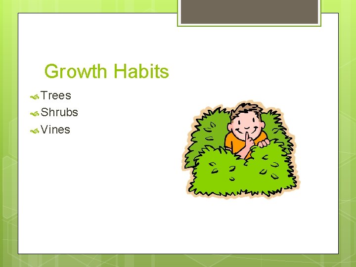 Growth Habits Trees Shrubs Vines 