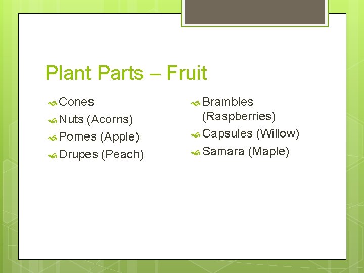 Plant Parts – Fruit Cones Brambles Nuts (Raspberries) Capsules (Willow) Samara (Maple) (Acorns) Pomes