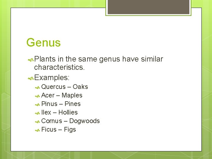 Genus Plants in the same genus have similar characteristics. Examples: Quercus – Oaks Acer