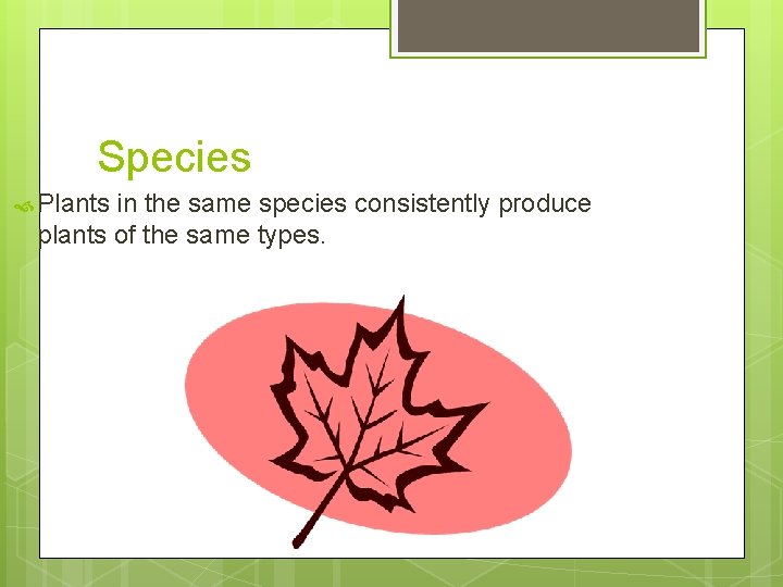 Species Plants in the same species consistently produce plants of the same types. 