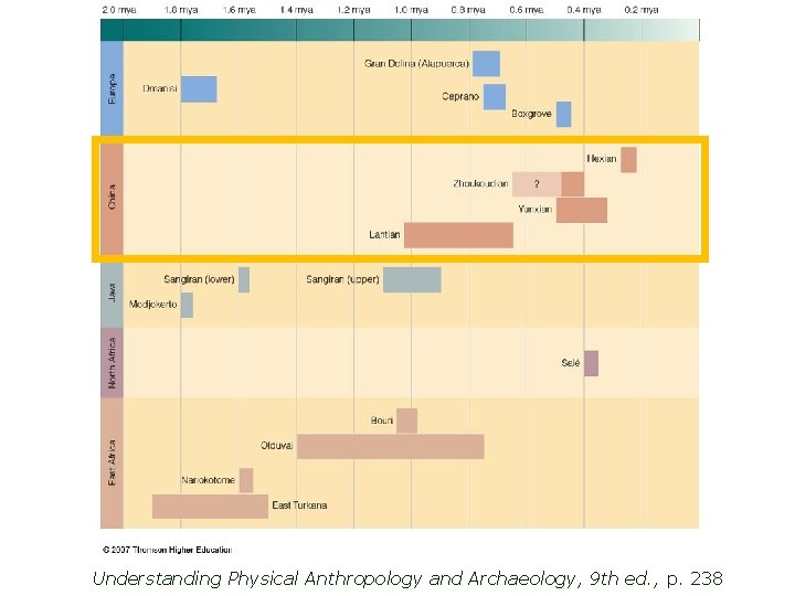 Understanding Physical Anthropology and Archaeology, 9 th ed. , p. 238 