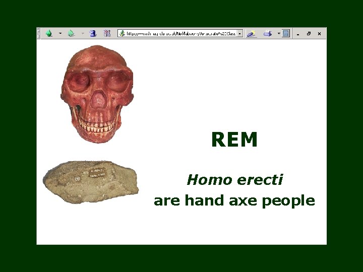 REM Homo erecti are hand axe people 