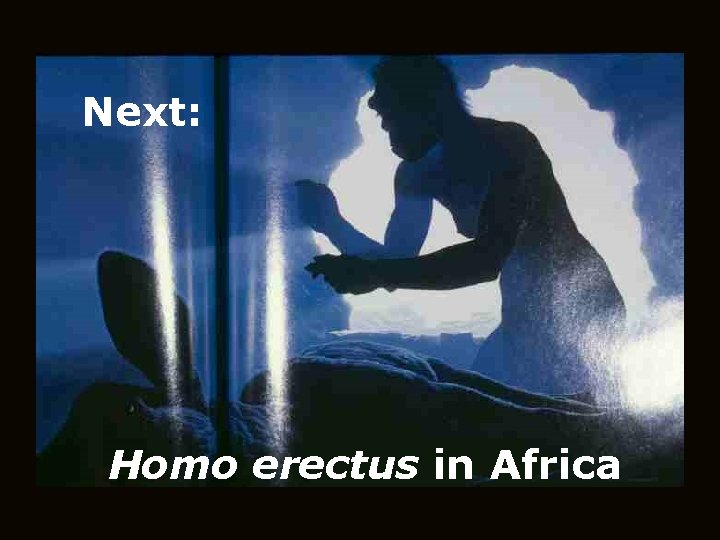 Next: Homo erectus in Africa 