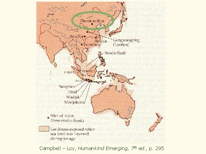 Campbell – Loy, Humankind Emerging, 7 th ed. , p. 295 