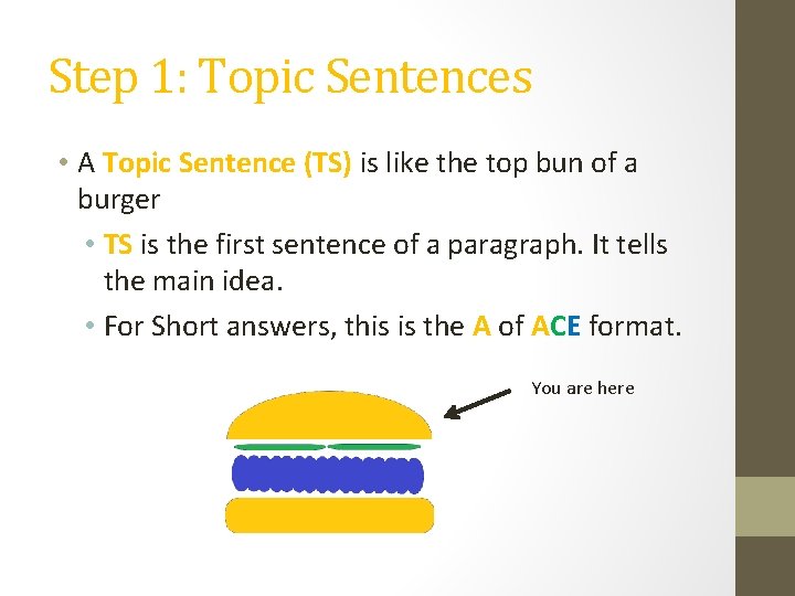 Step 1: Topic Sentences • A Topic Sentence (TS) is like the top bun