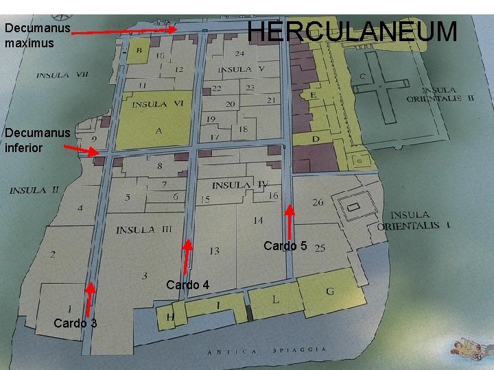 HERCULANEUM Decumanus maximus Decumanus inferior Cardo 5 Cardo 4 Cardo 3 