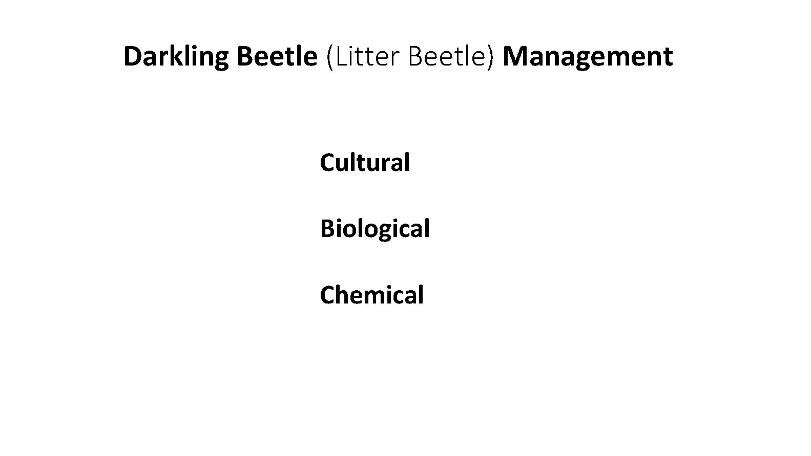 Darkling Beetle (Litter Beetle) Management Cultural Biological Chemical 